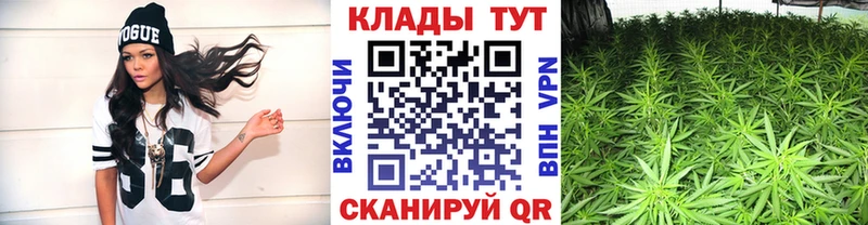 Псилоцибиновые грибы Тотьма