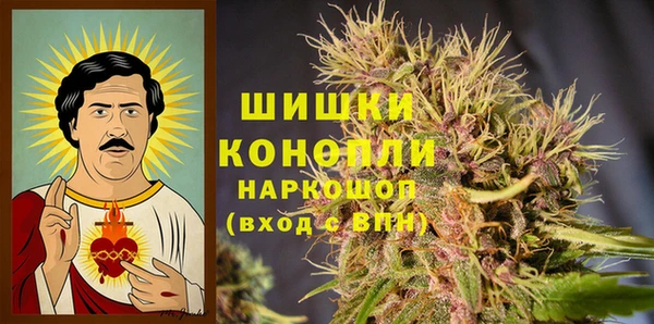 винт Дмитров