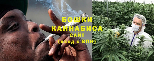 бутират Дмитриев