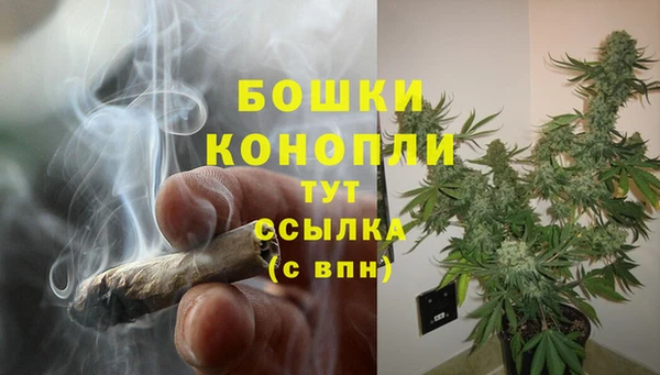 бутират Дмитриев