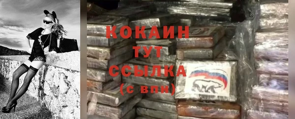 кокс Дмитровск